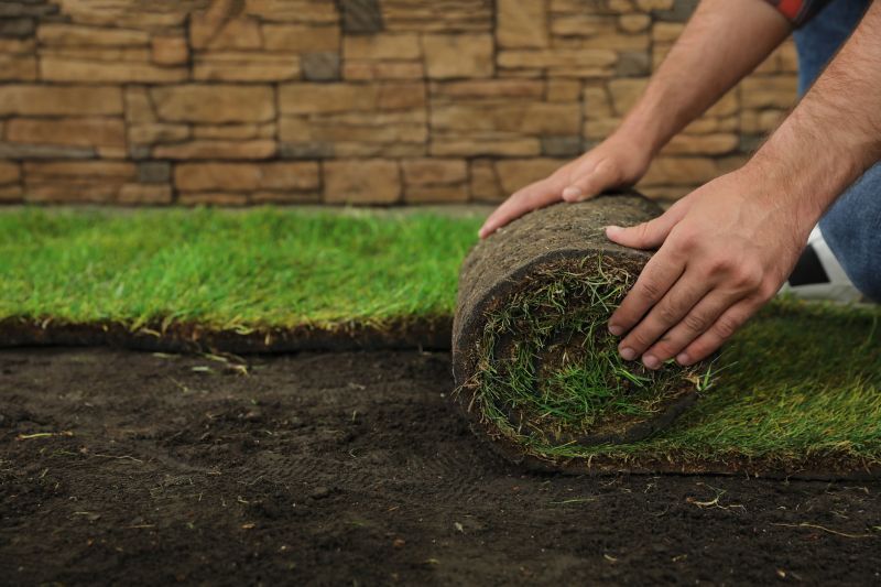 Sod Installation in Ventura County, CA