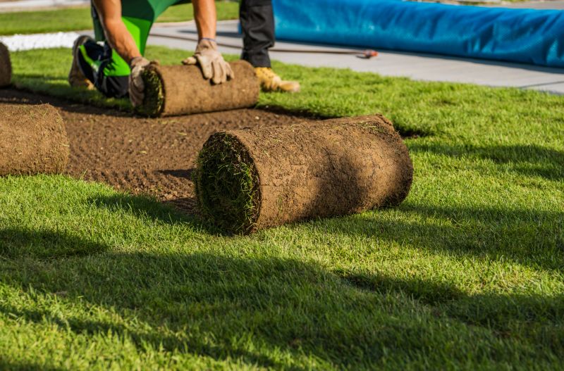 Zoysia Grass Installation in Ventura County, CA
