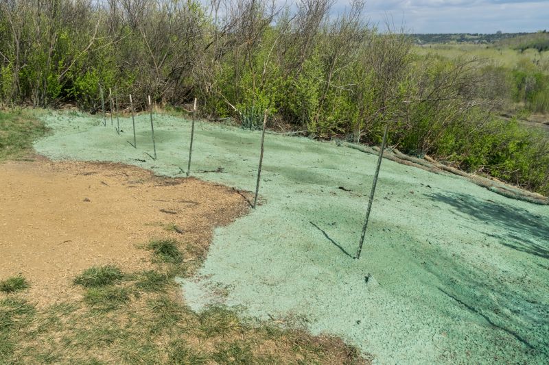 Hydroseeding