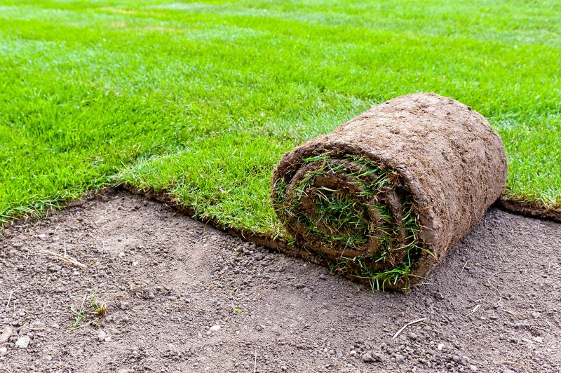 Bentgrass Sod Installation in Honolulu, HI