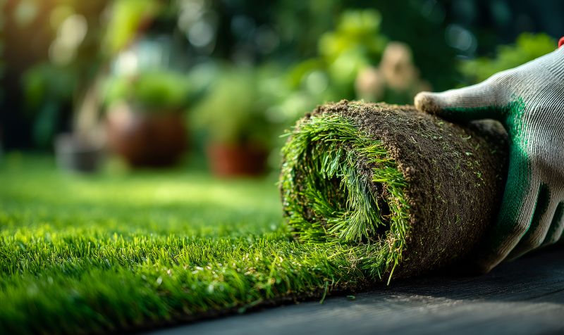 Commercial Sod Installation in Aiken, SC