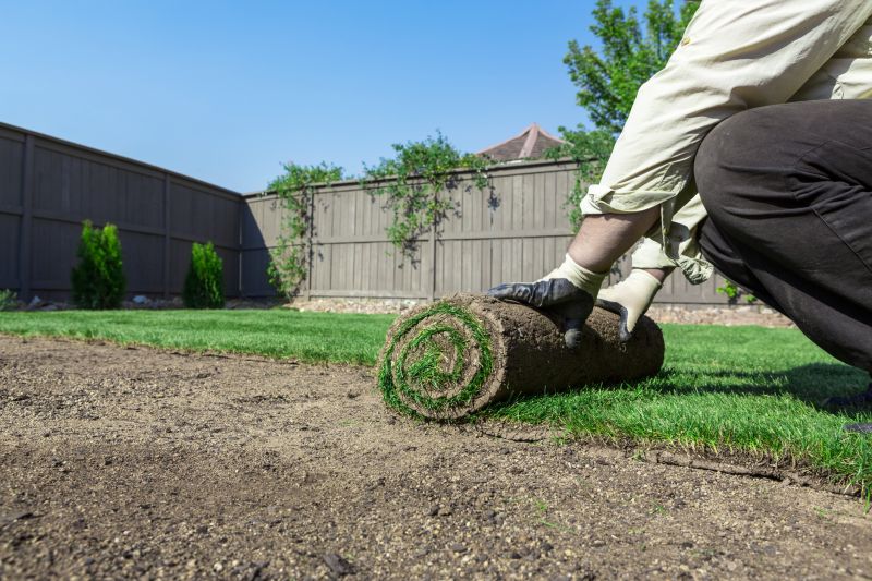 Fescue Sod Installation in Aiken, SC