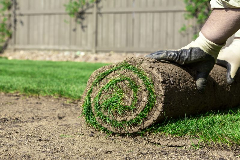 Fescue Sod Installation in Aiken, SC