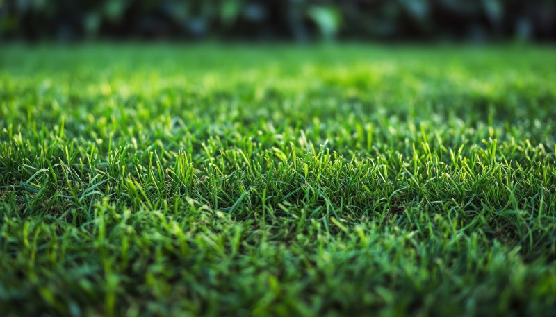 Grass Installation in Honolulu, HI