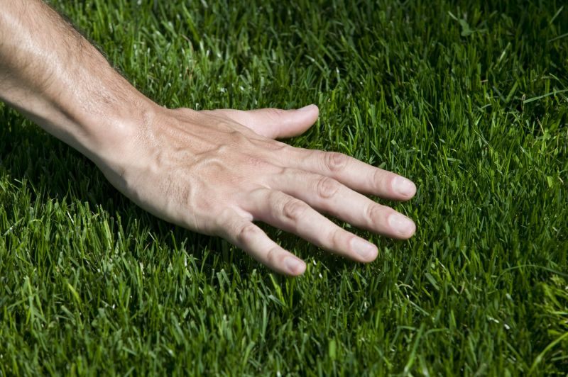 Grass Replacement in Ventura County, CA