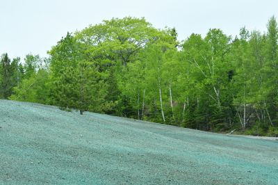 Hydroseed on Sloped Terrain