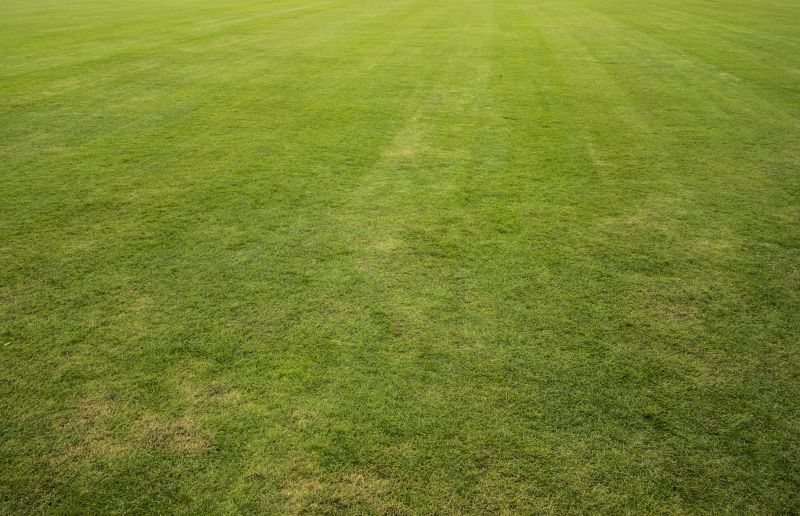 Lawn Installation in Rockwall, TX