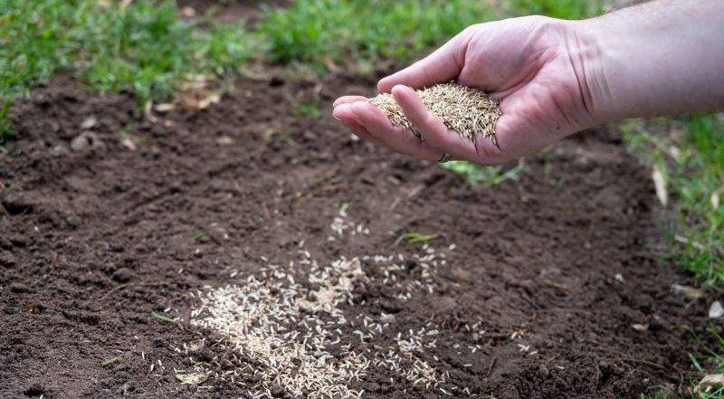 Lawn Reseeding Service in Ventura County, CA