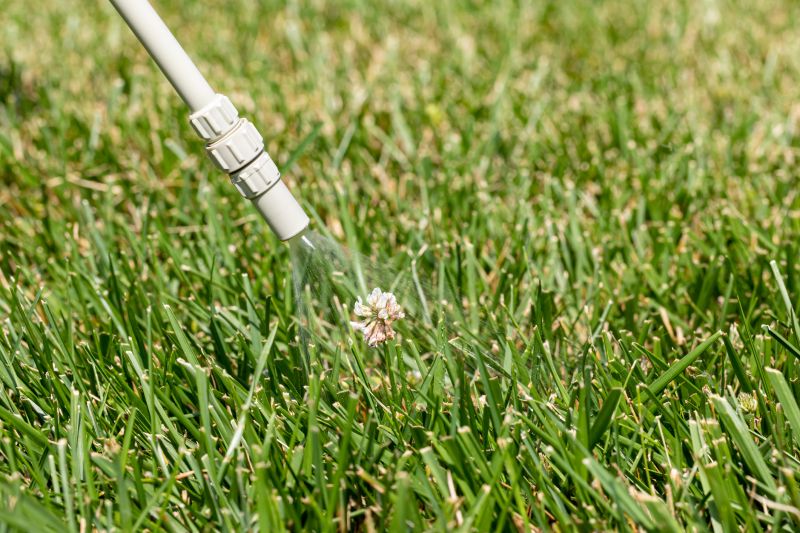 Lawn Spraying in Honolulu, HI
