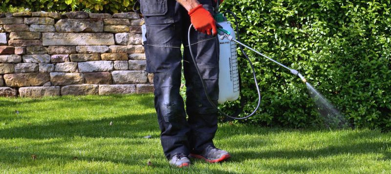 Lawn Weed Treatment in Honolulu, HI