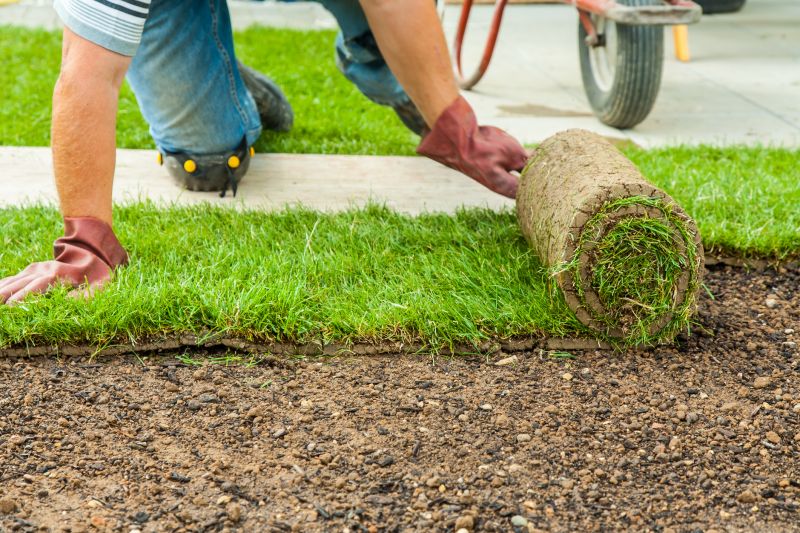 Sod Replacement in Honolulu, HI