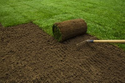 Sod Replacement in Ventura County, CA