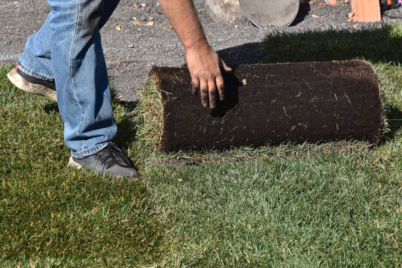 Sod Replacement in Ventura County, CA