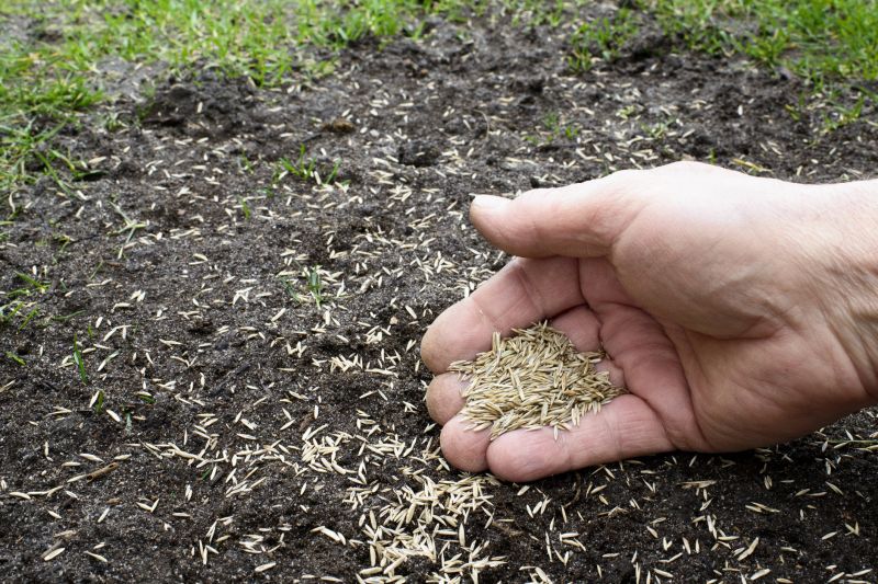 Spring Grass Seeding in Ventura County, CA
