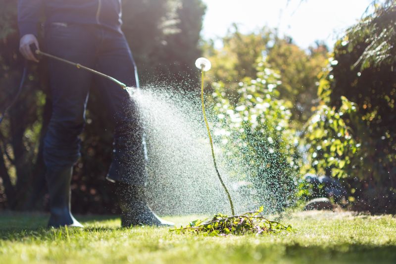 Weed Spraying in Aiken, SC