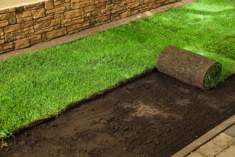 Zoysia Grass Installation in Rockwall, TX
