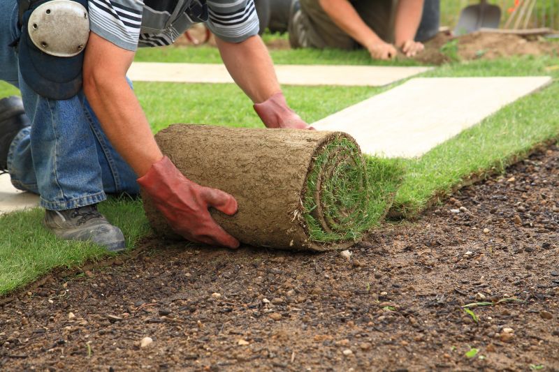 Zoysia Grass Installation in Aiken, SC